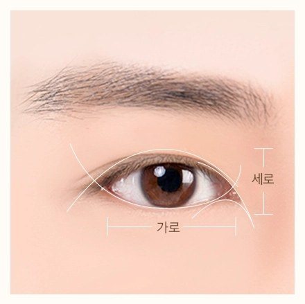 남성의 눈 모양과 가로, 세로 비율을 분석하는 그래픽