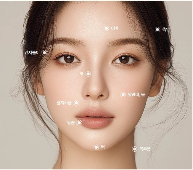 얼굴 시술 부위(이마, 측두, 관자놀이, 코, 앞광대·볼, 팔자주름, 입술, 턱, 목주름)가 표시된 여성 얼굴 사진